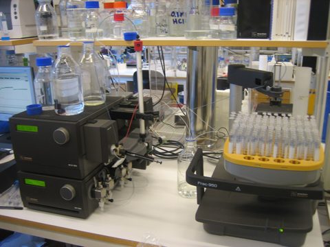 Size Exclusion Chromatography to separate Proteins.jpg