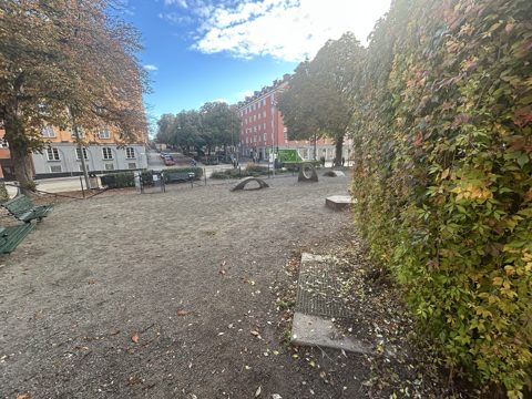 Solvändashundrastgård 01.jpg