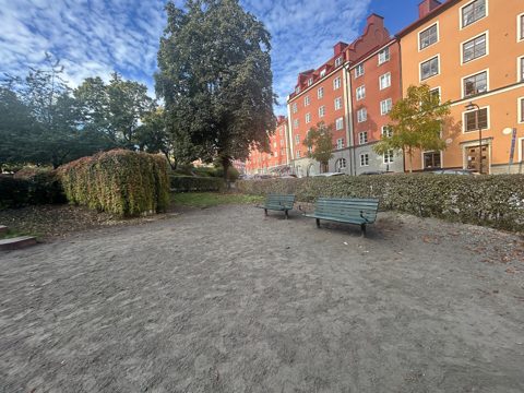 Solvändashundrastgård 03.jpg