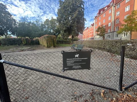 Solvändashundrastgård 04.jpg