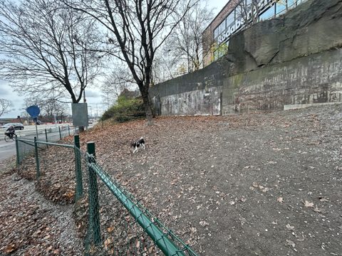 Sankt Eriksparkens hundrastgård 02.jpg