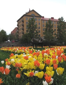 Flickr - Per Ola Wiberg ~ mostly away - tulips in the city.jpg