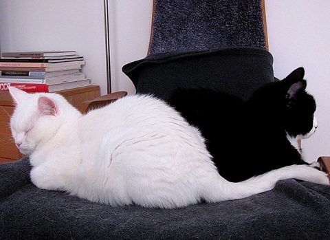 Flickr - Per Ola Wiberg ~ mostly away - contemplating and relaxing.jpg