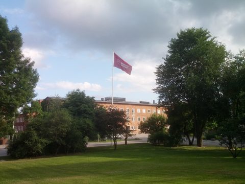 Karolinska institutet juni 2013.jpeg