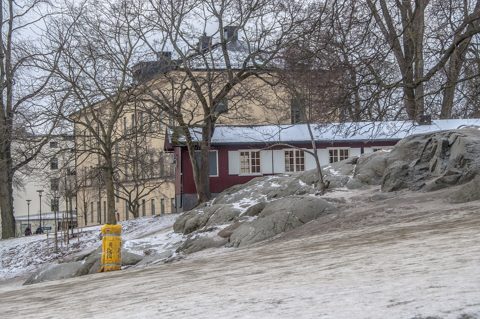Vasaparken vintern 2014.JPG