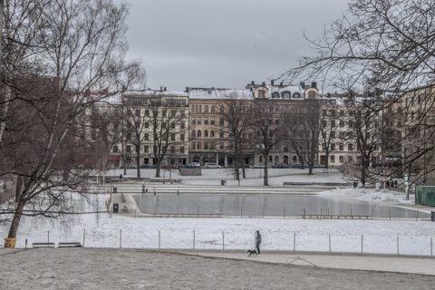 Vasaparken, vinter 2014.JPG