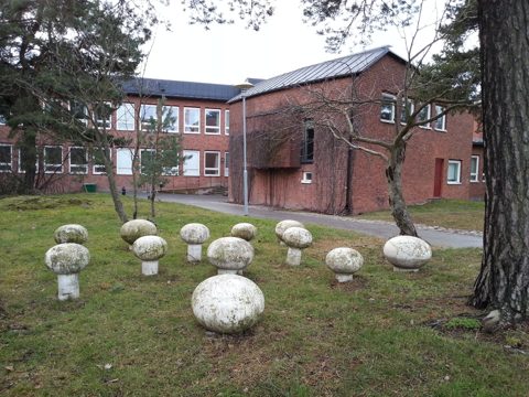 Stensvampar - Karolinska Institutet.jpg