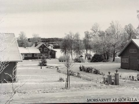 Morsarvet av sjöfälla post card winter.jpg