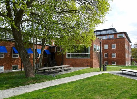 Campus Solna, maj 2019c.jpg