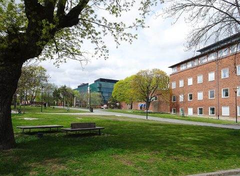 Campus Solna, maj 2019e.jpg