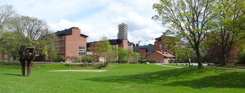Campus Solna Pelousen, maj 2019.jpg