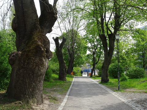 Sabbatsbergsvägen maj 2019b.jpg