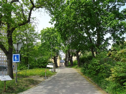 Sabbatsbergsvägen maj 2019a.jpg