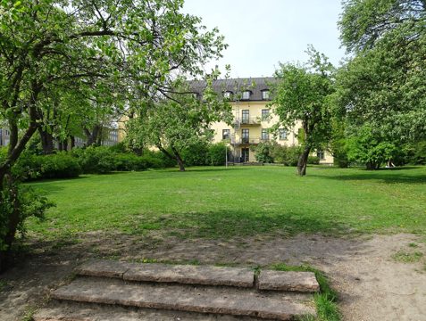 Klarahusets park, maj 2019.jpg