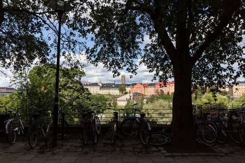 Stockholm Karlbergssjön Rörstrand 2019 08 14 c.jpg