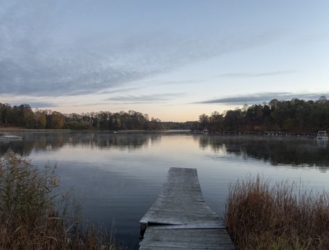 Brunnsviken 2018.jpg