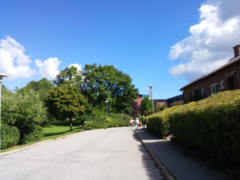 KartaView 13653 / 33