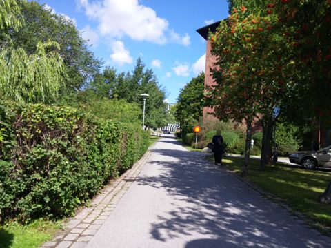 KartaView 13653 / 46