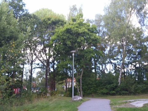 KartaView 13653 / 133