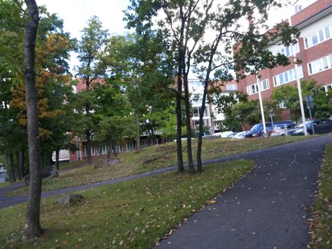 KartaView 13653 / 96