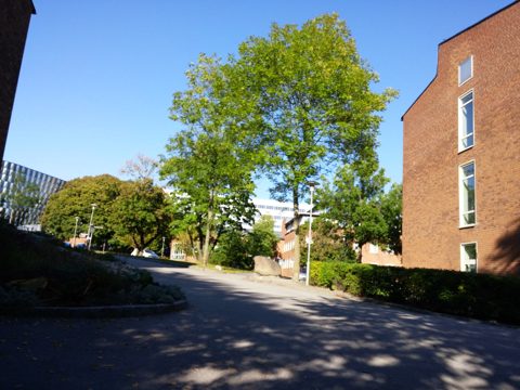 KartaView 13886 / 27
