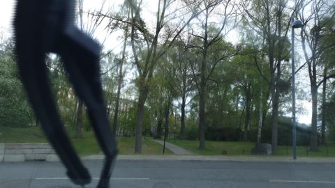 Near Anna Steckséns gata · 2020-05-12