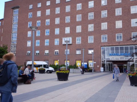 Near Karolinska vägen · 2017-06-20