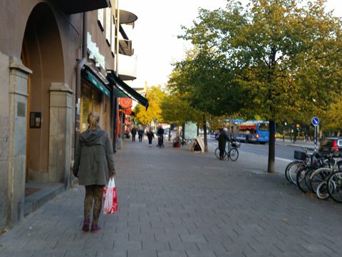 Near Torsgatan · 2015-10-24