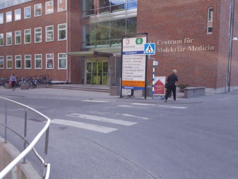 Near Visionsgatan · 2017-06-19