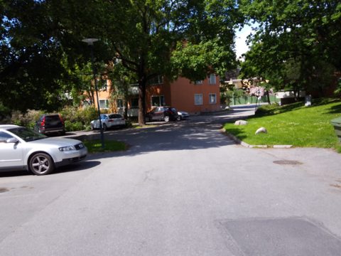 Near Olof af Acrels väg · 2017-06-19