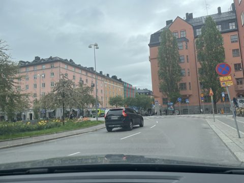 Near Vanadisplan · 2021-05-24