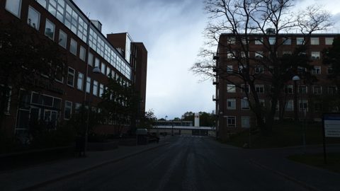 Near Anna Steckséns gata · 2020-05-12