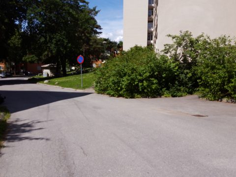 Near Olof af Acrels väg · 2017-06-19