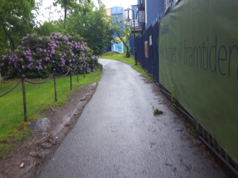 Near Anna Steckséns gata · 2017-06-13