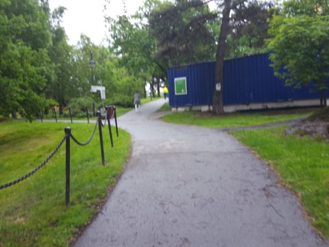 Near Anna Steckséns gata · 2017-06-13