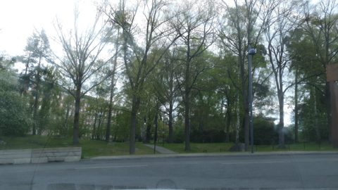 Near Anna Steckséns gata · 2020-05-12