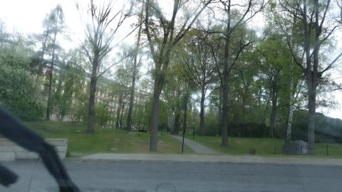 Near Anna Steckséns gata · 2020-05-12