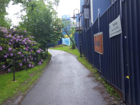 Near Anna Steckséns gata · 2017-06-13