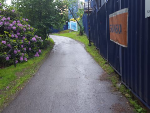 Near Anna Steckséns gata · 2017-06-13