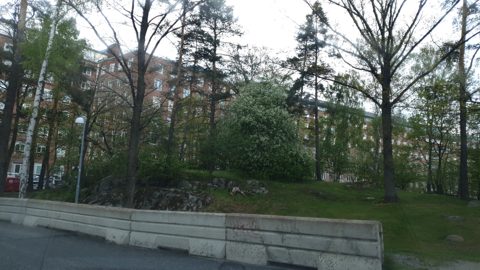 Near Anna Steckséns gata · 2020-05-12