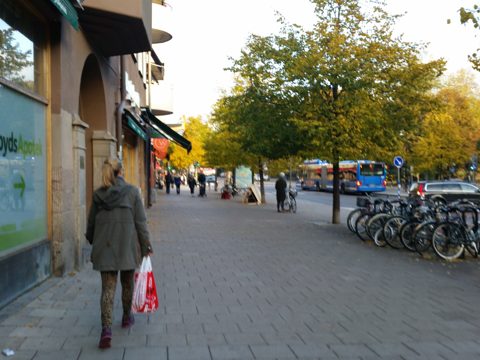 Near Torsgatan · 2015-10-24
