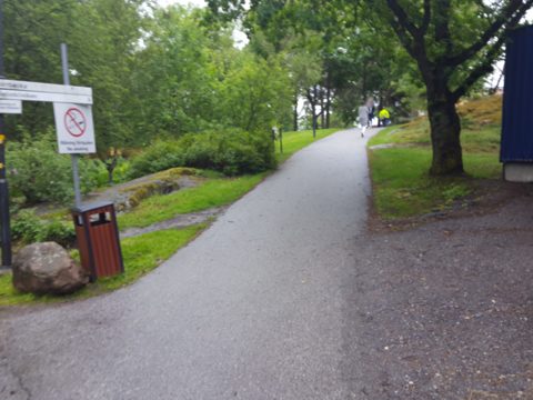 Near Akademiska Stråket · 2017-06-13