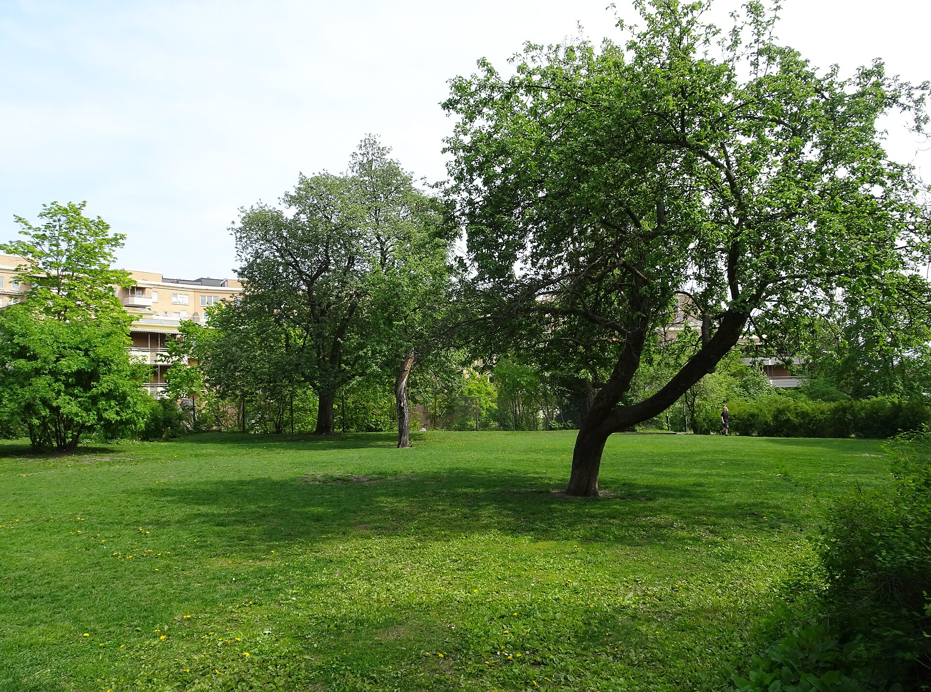 Klarahusets park, maj 2019a.jpg