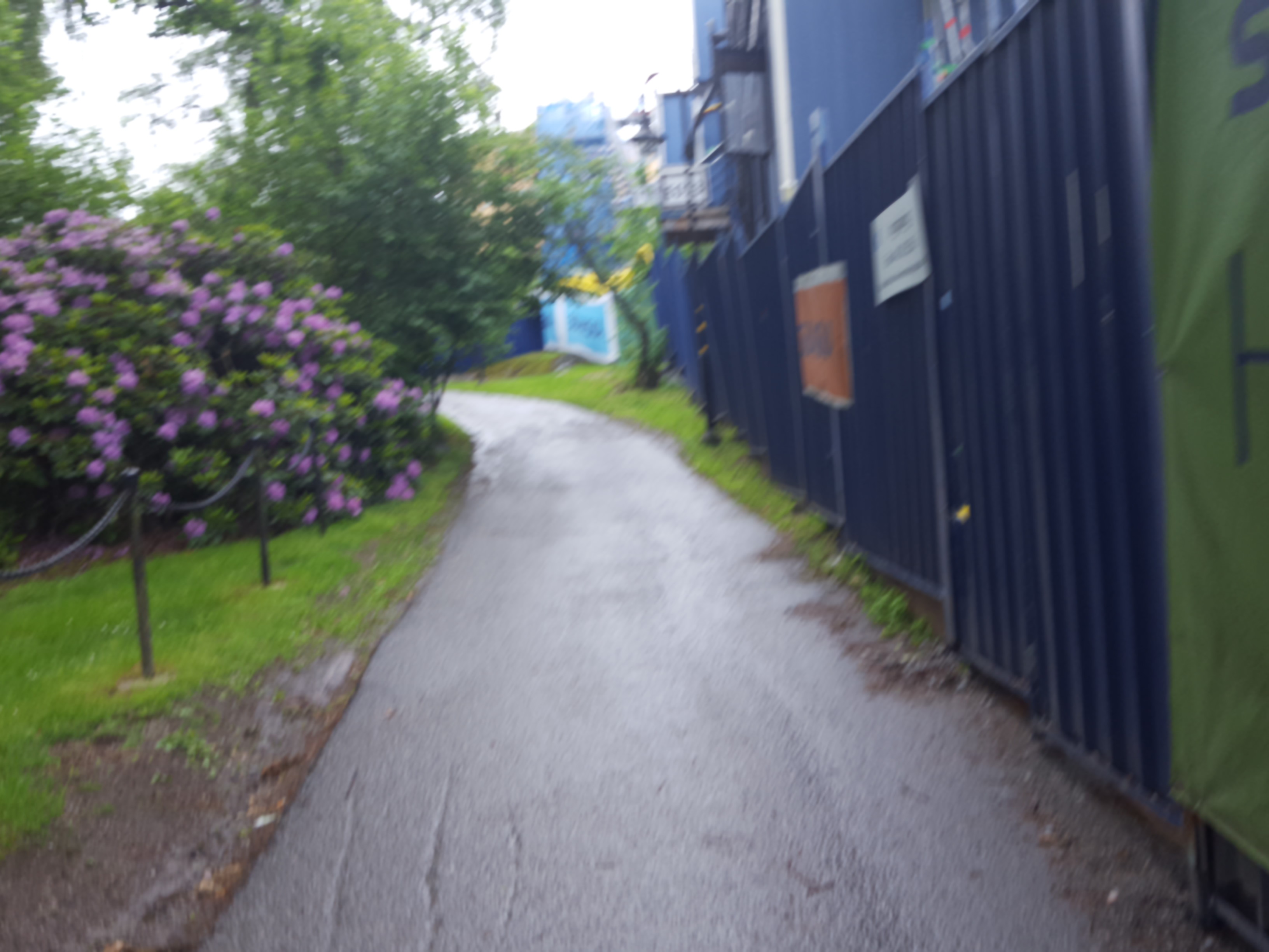 Near Anna Steckséns gata · 2017-06-13